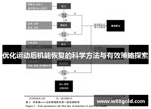 优化运动后机能恢复的科学方法与有效策略探索