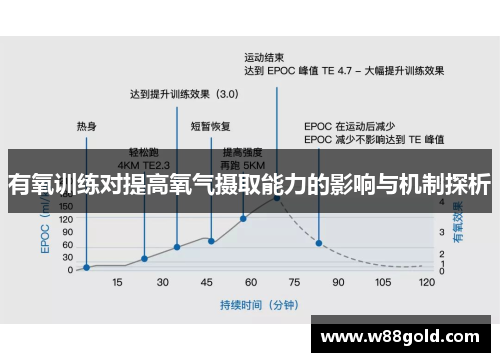 有氧训练对提高氧气摄取能力的影响与机制探析
