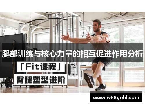 腿部训练与核心力量的相互促进作用分析